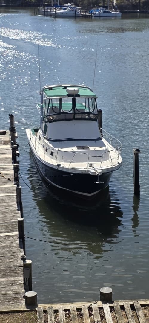 2001 Albin 32 + 2 Command Bridge - Image 33