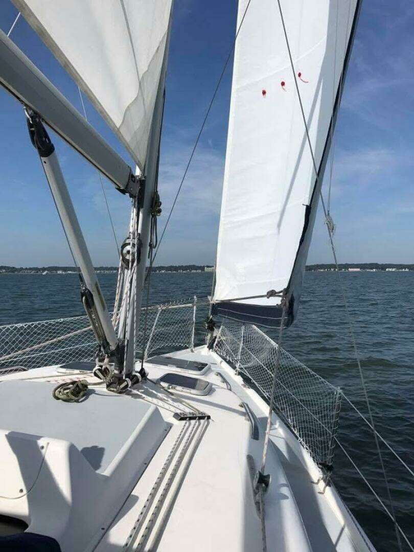 2003 Hunter 306 - Image 4