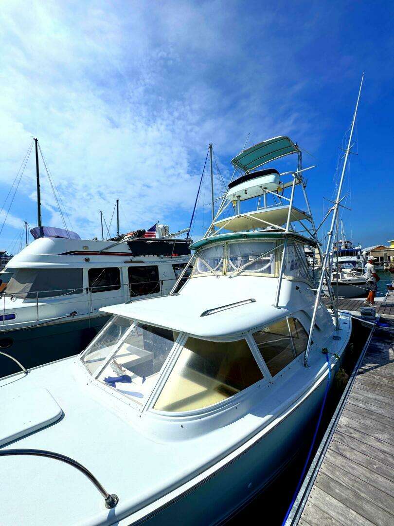 1963 Bertram 31 Sportsman - Image 32
