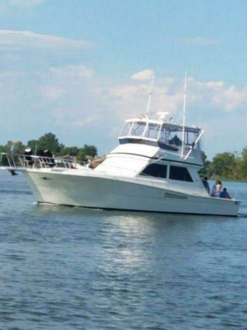 1988 Viking 45 Convertible - Image 4