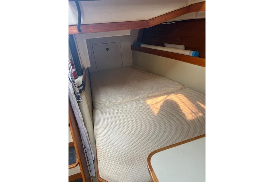 Interior cabin of 1982 C&C Yachts 37, featuring cozy sleeping area with cushions.