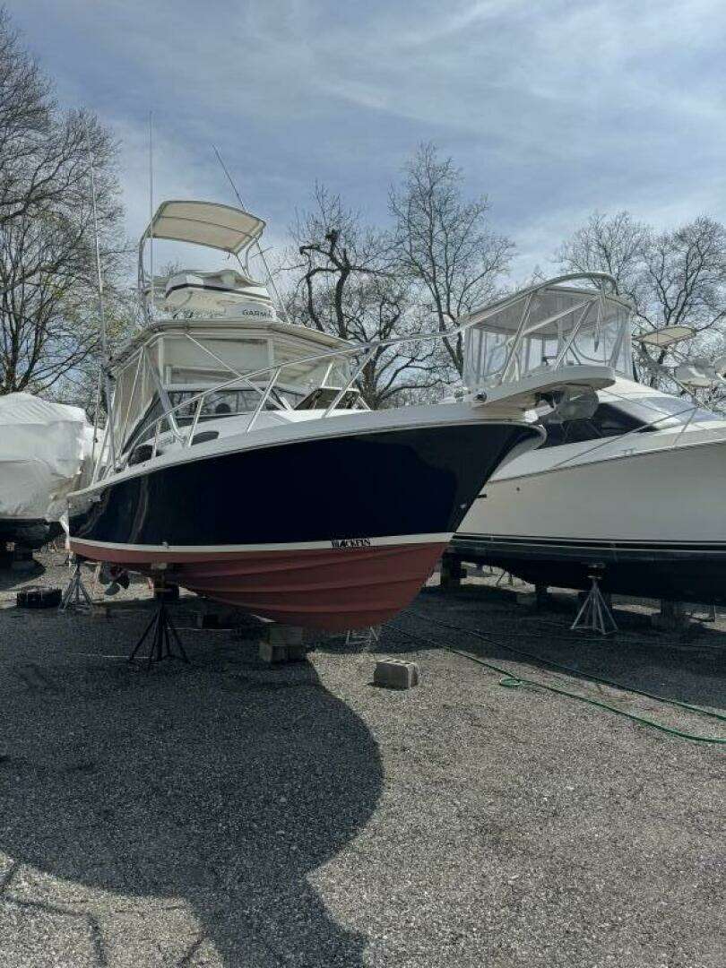 1994 Blackfin — - Image 2