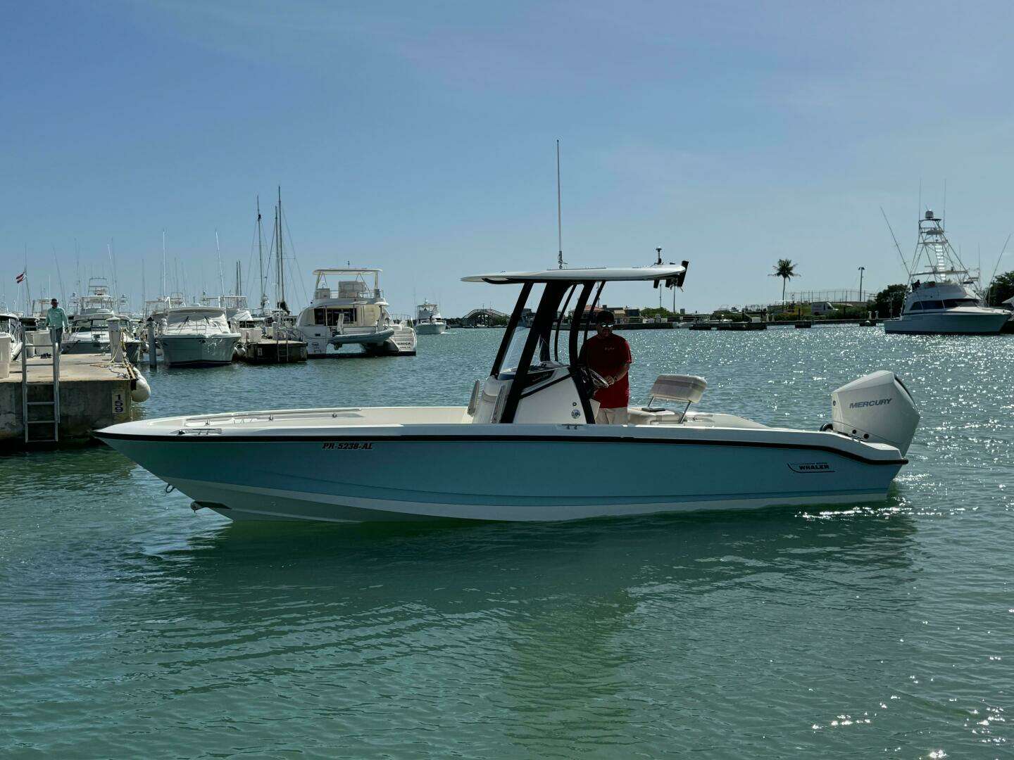 2022 Boston Whaler 250 Dauntless - Image 12