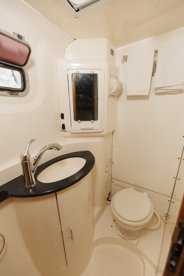 2006 Leopard 43 - Image 30