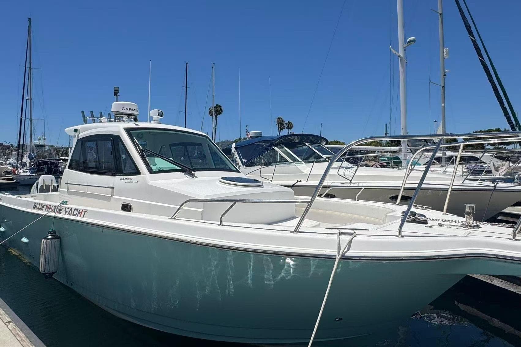 2024 Bluewhale 3600 WA