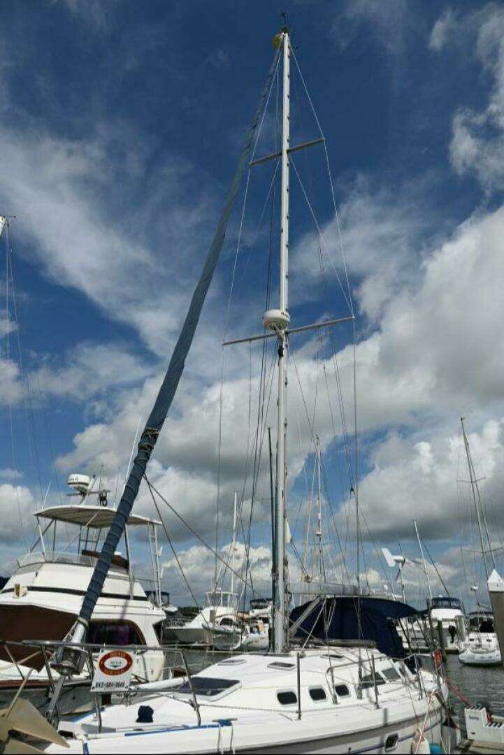 2002 Catalina — - Image 10