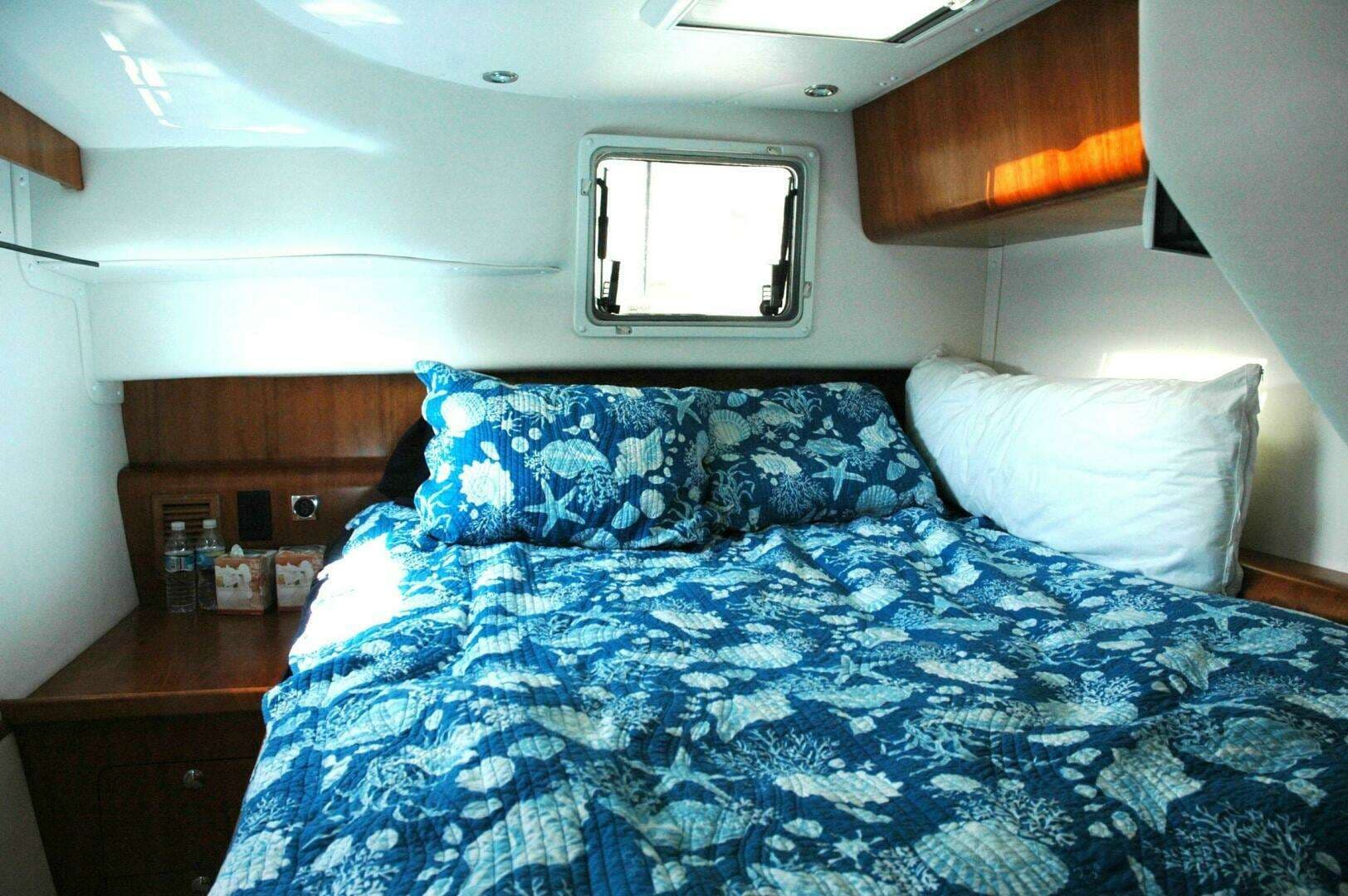 2006 PDQ Antares - Image 22