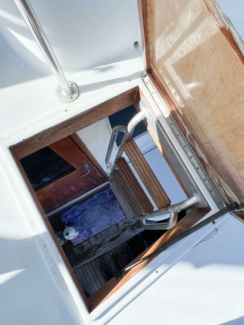 1987 Buddy Davis 61 Convertible - Image 49