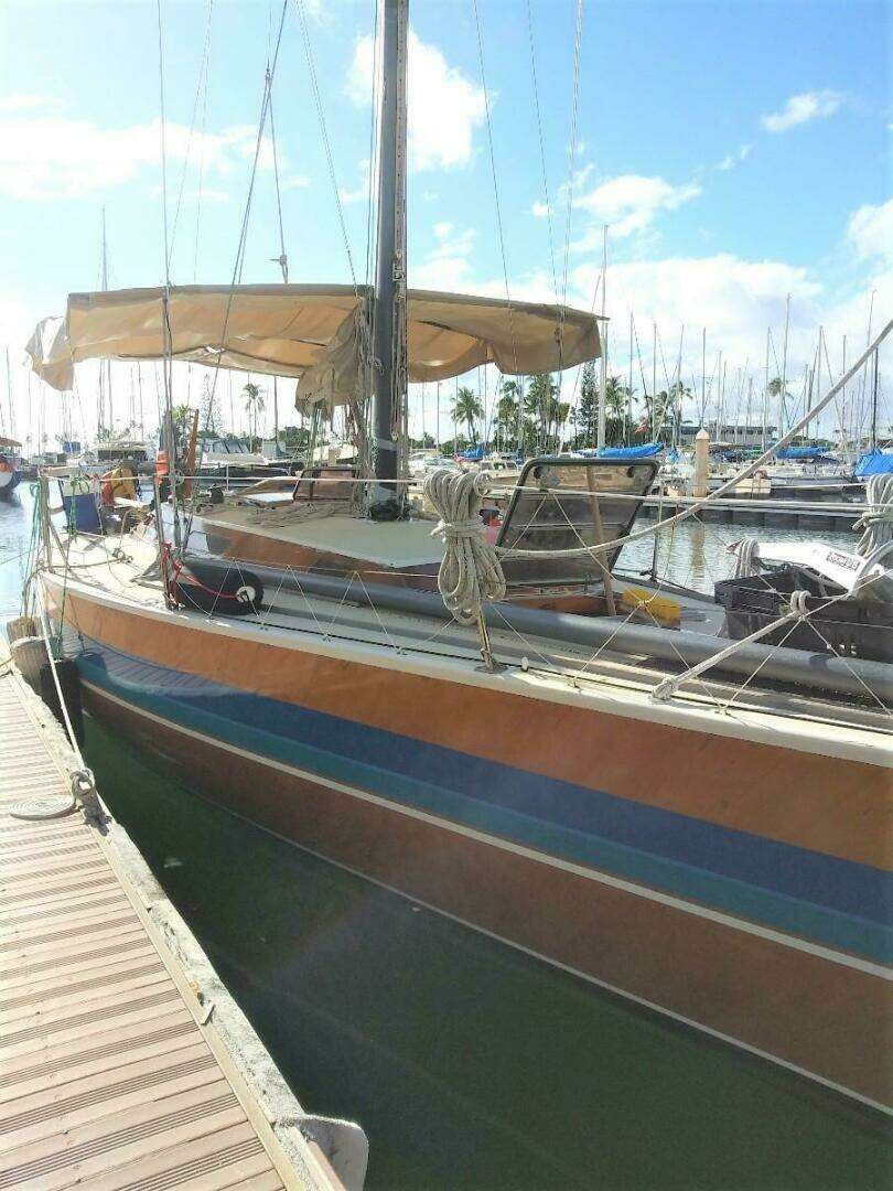 1980 Custom Doug Peterson - Image 4
