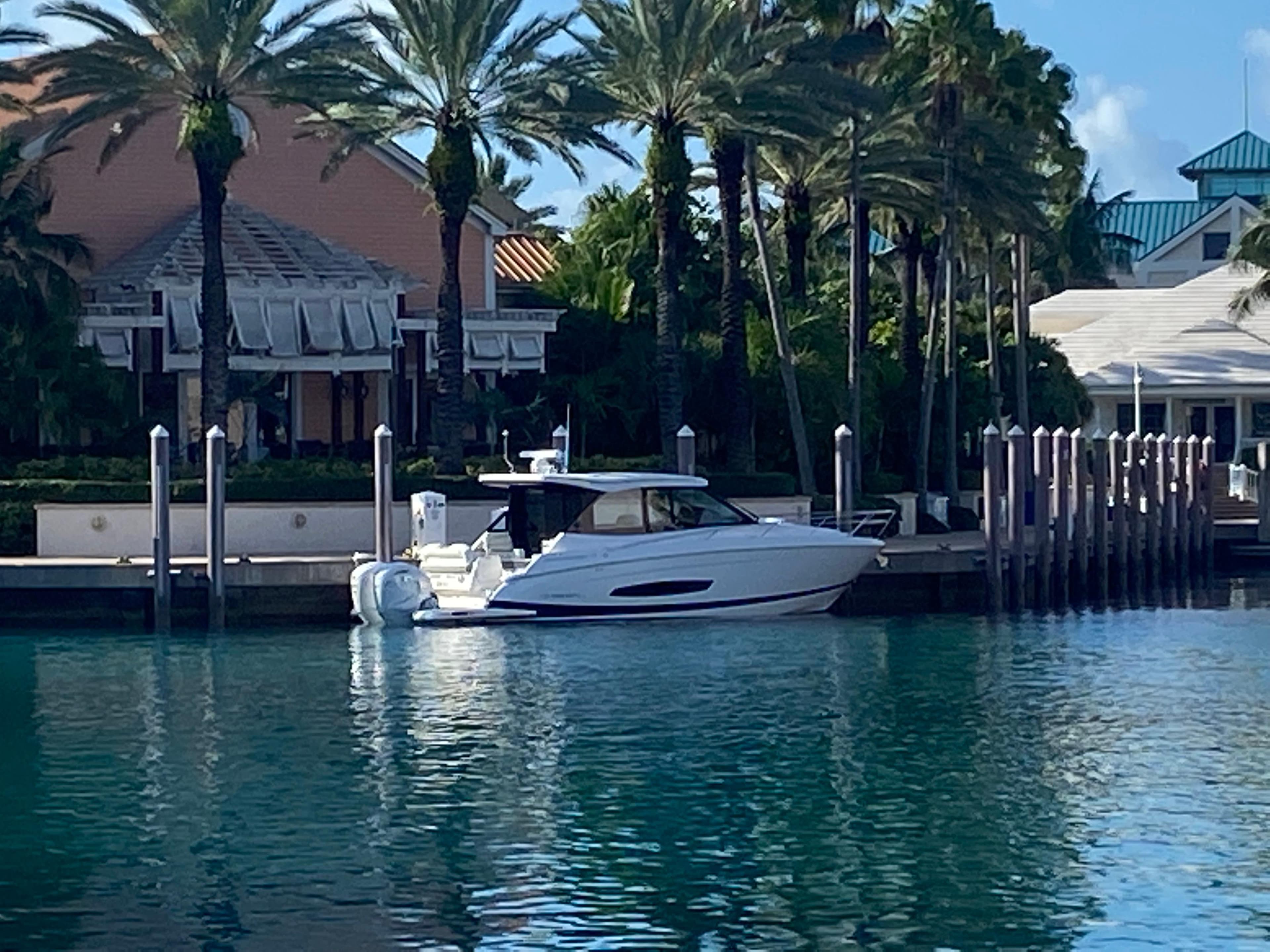 2023 Regal 36 XO yacht docked by palm trees and waterfront buildings.