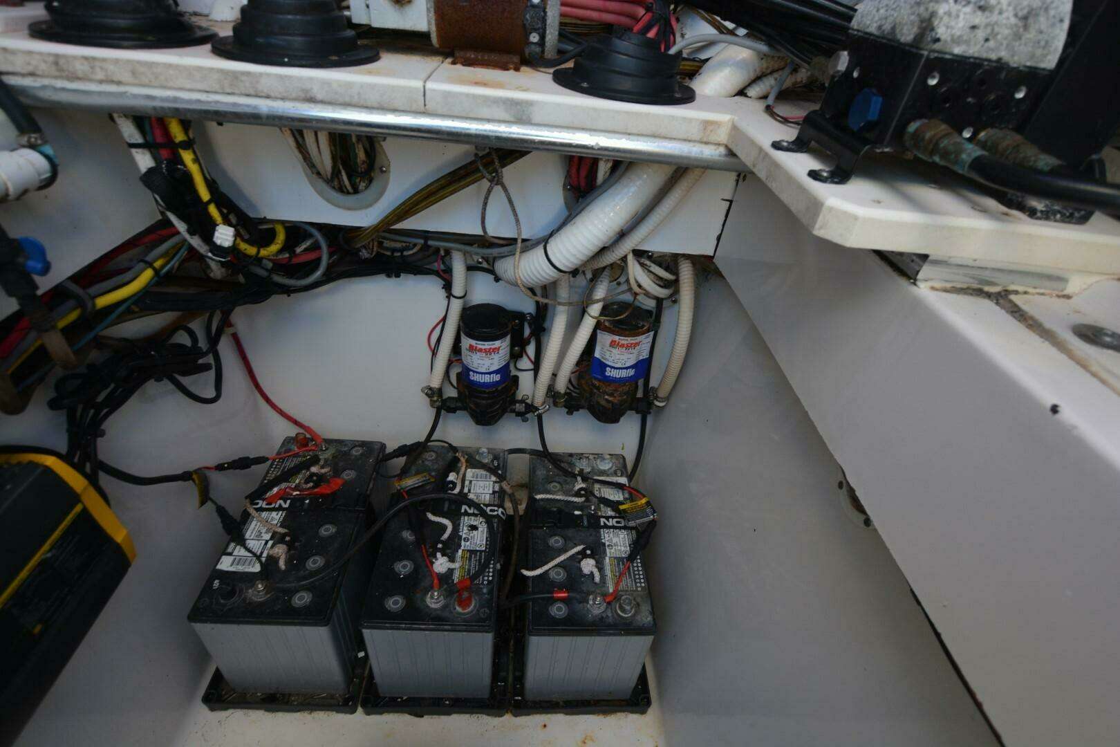2006 Contender 33 Tournament - Image 6