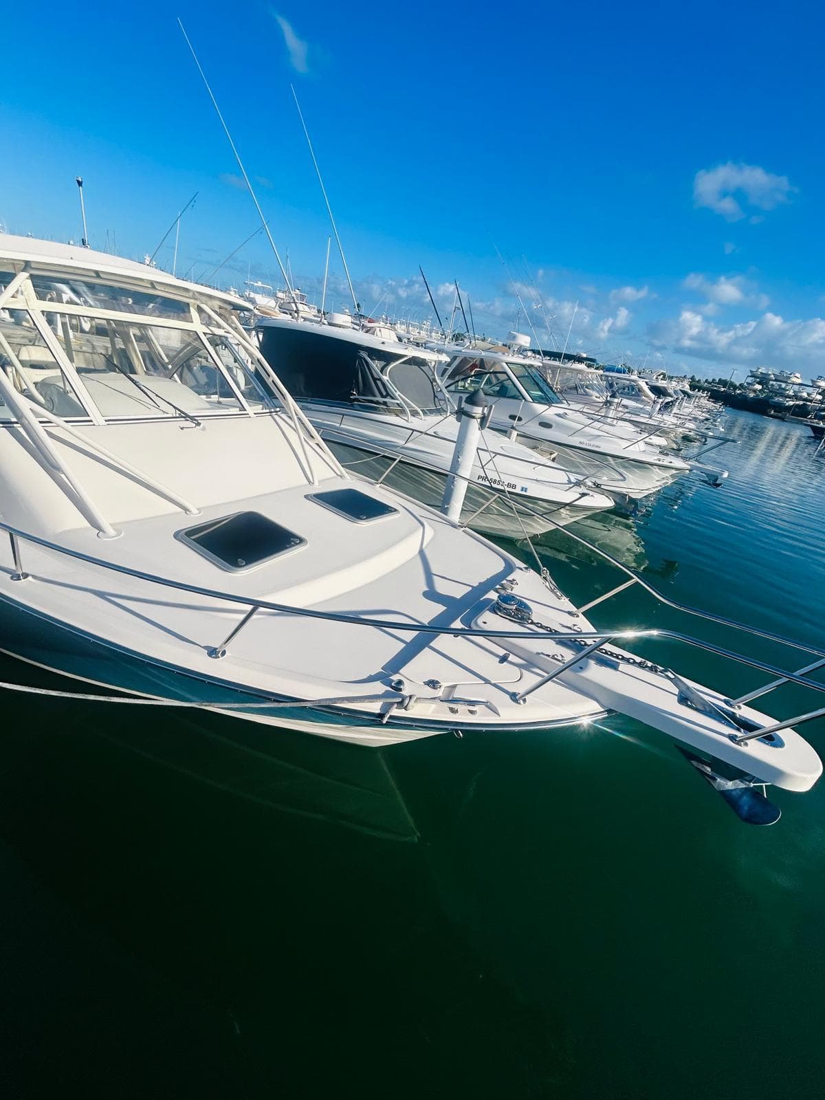 2021 Grady-White Express 330 boat docked in a marina under clear blue skies.