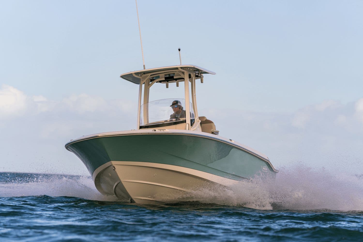2026 Boston Whaler 250 Dauntless - 21
