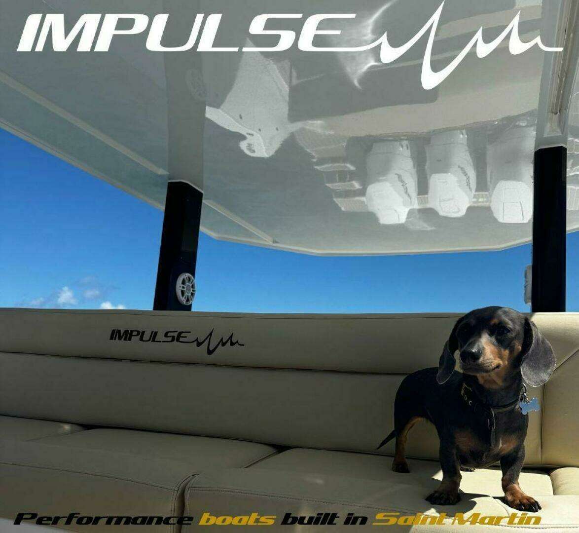 2025 Impulse Boat 46S - Image 8