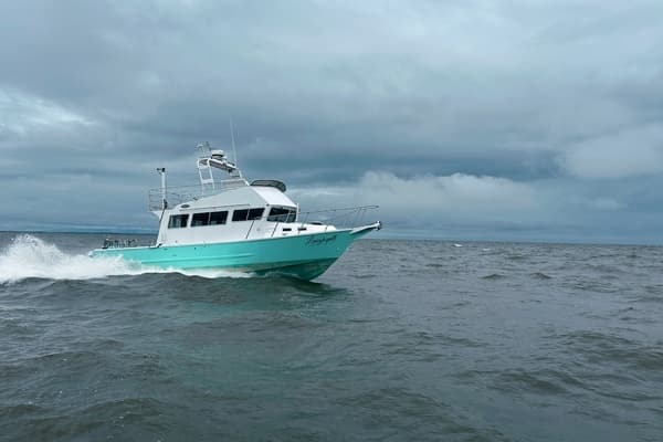 2014 North River Almar Sounder 40 - Image 1