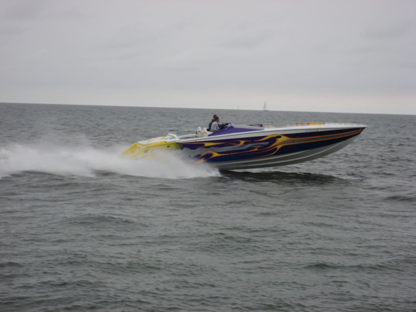 2000 Python — - Image 4