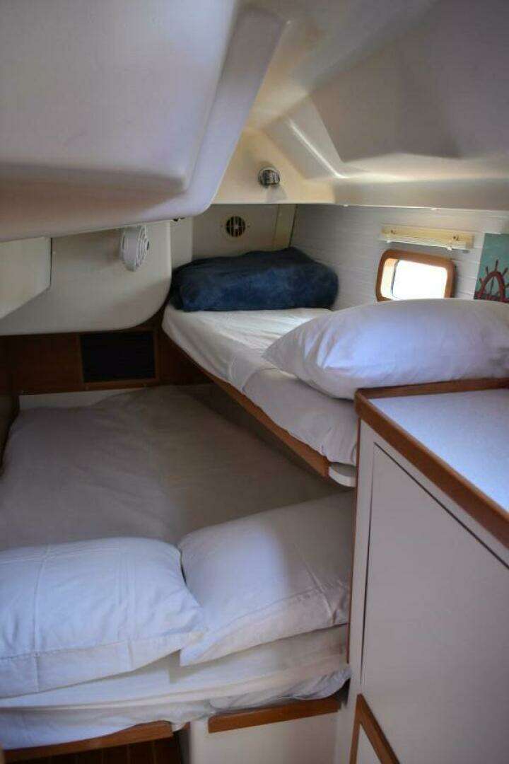 2016 Catalina 445 - Image 29