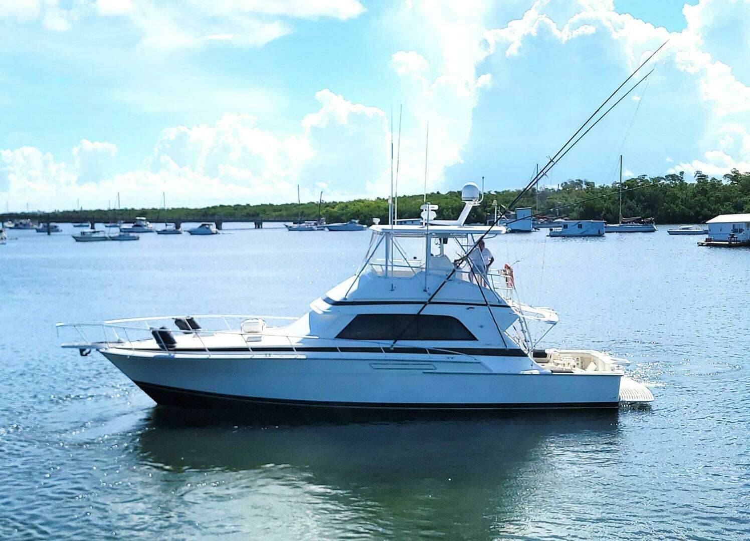 1989 Bertram 50 Convertible - Image 5