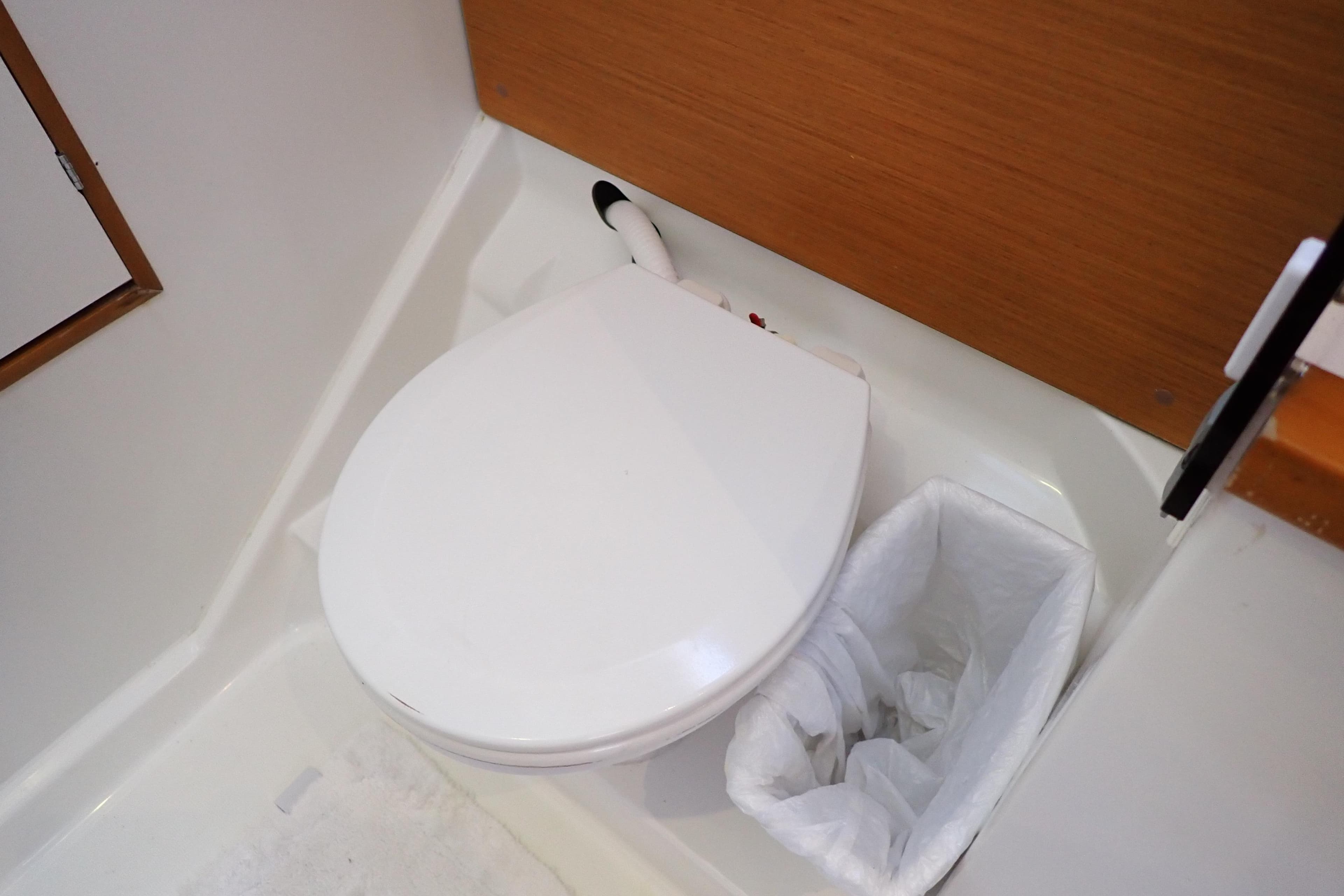 Toilet area in 2018 Jeanneau Sun Odyssey 389 yacht bathroom.