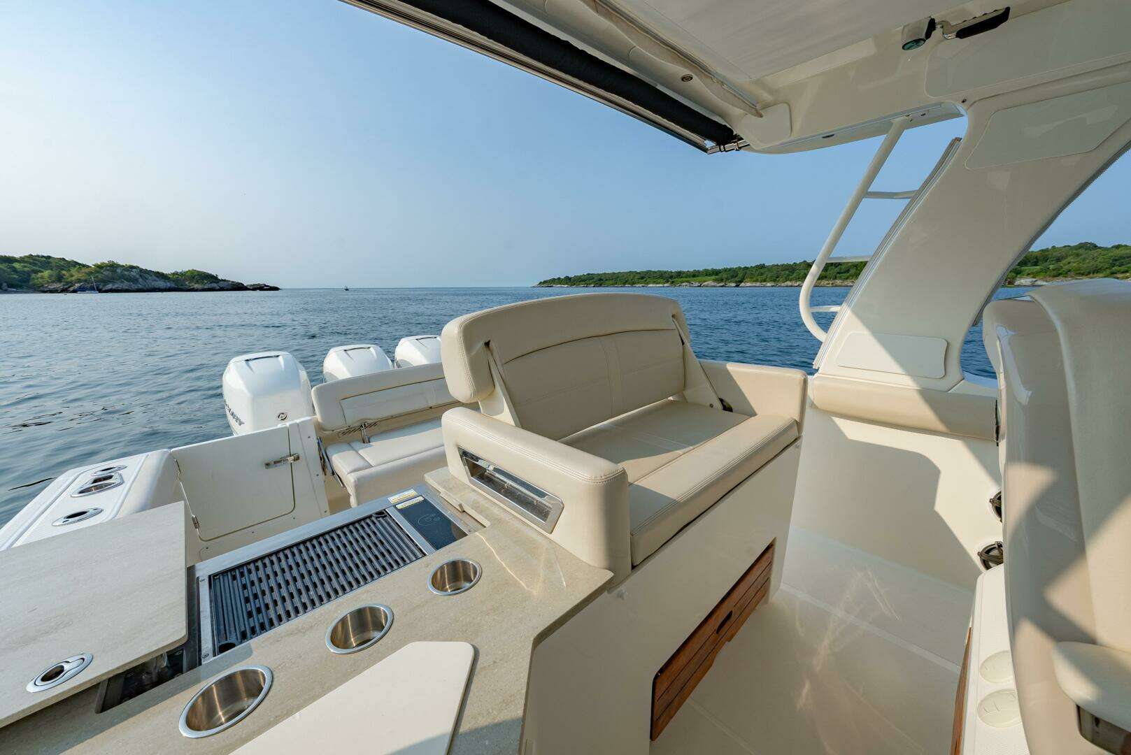 2019 Boston Whaler 350 EX Realm - Image 19