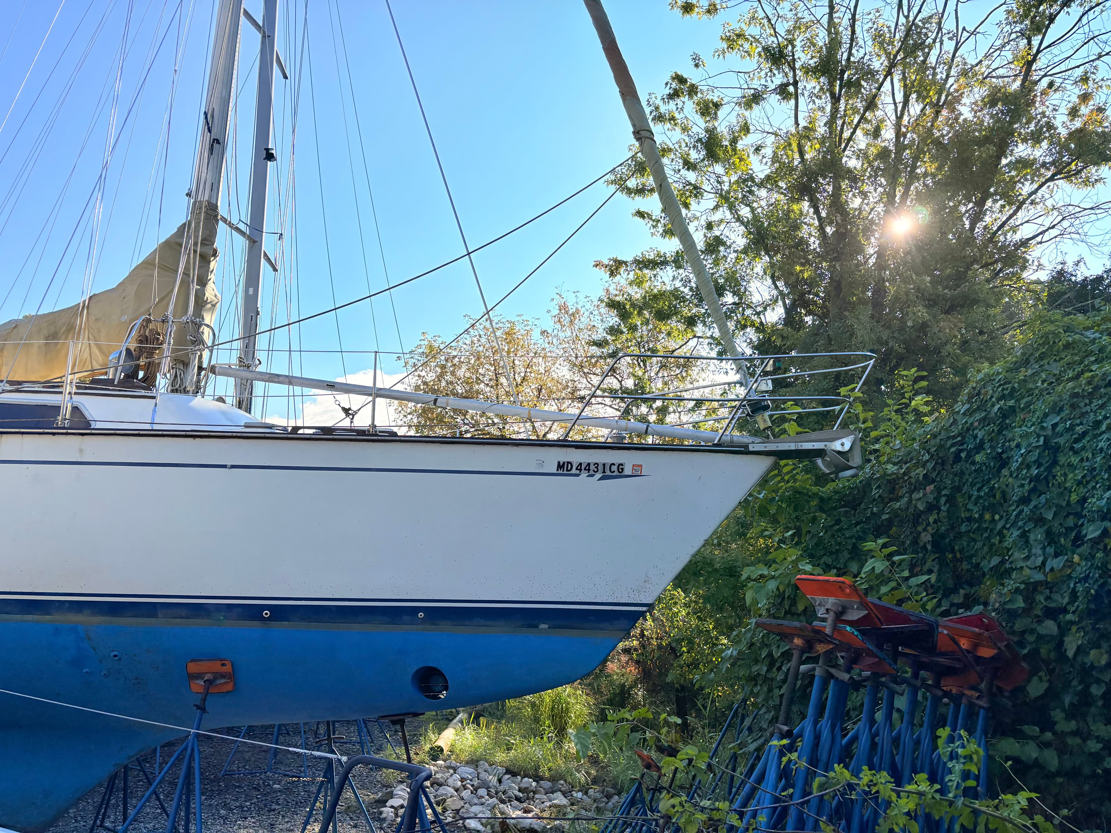 1985 CAL 44 - 2