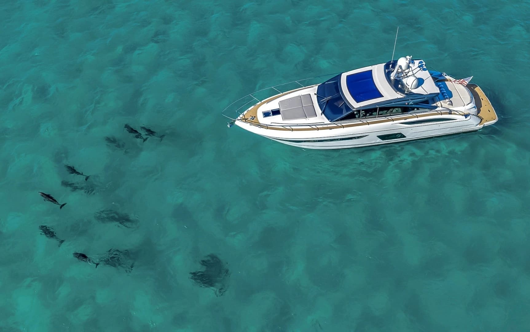 2016 Princess V58 - Image 78