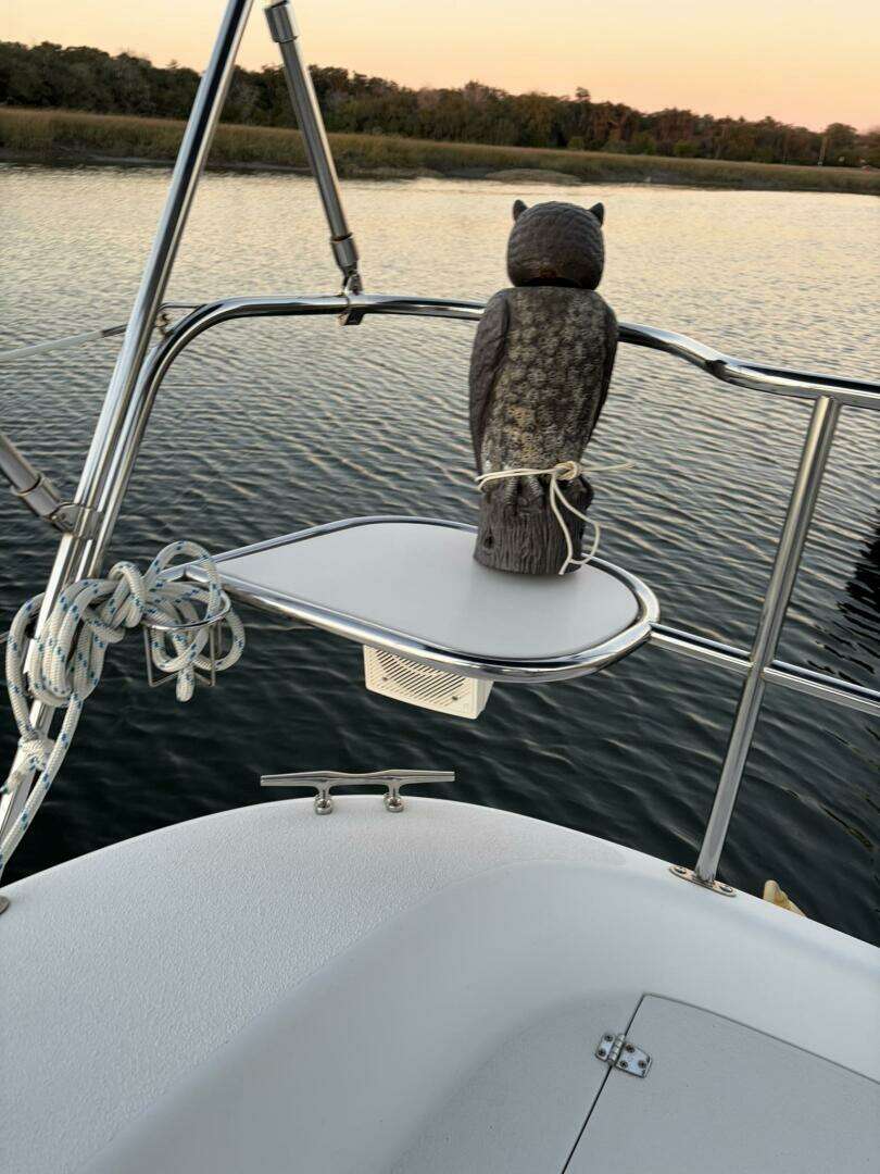 2010 Catalina 309 - Image 93