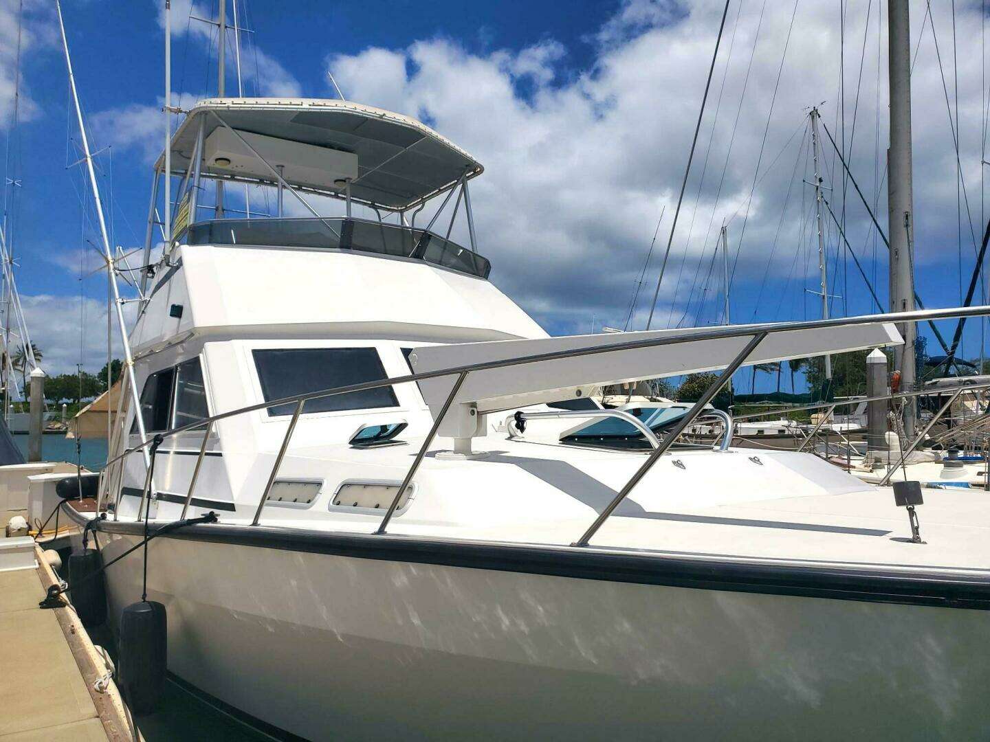 1989 Rampage R 401 SF SPORTFISHER - Image 4
