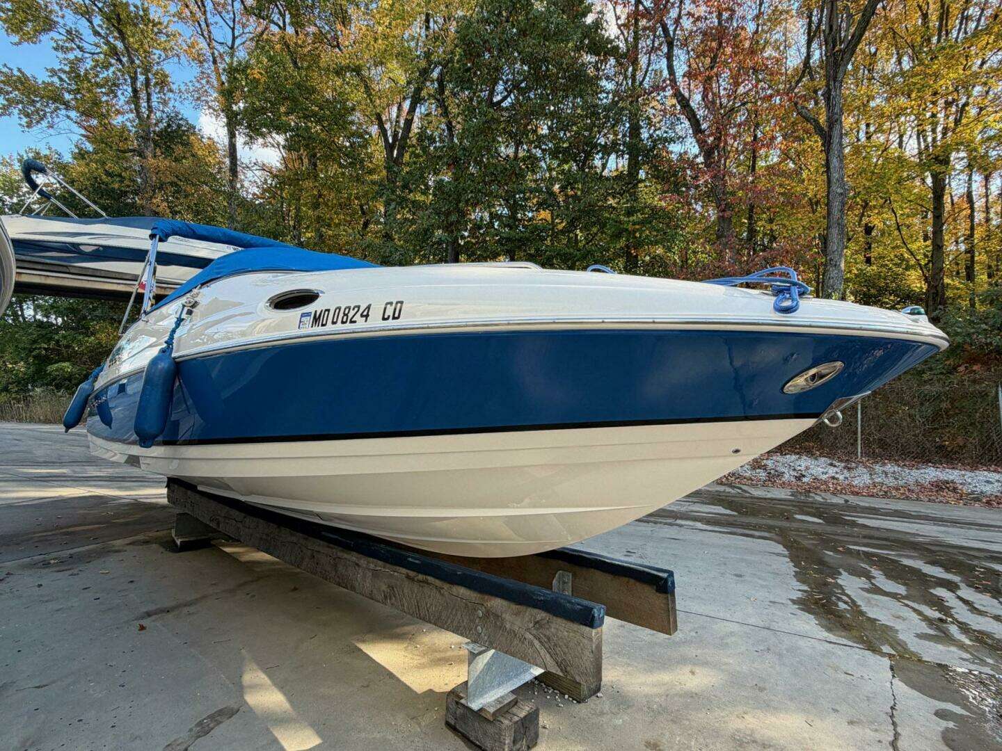 2008 Regal 2450 Cuddy - Image 3