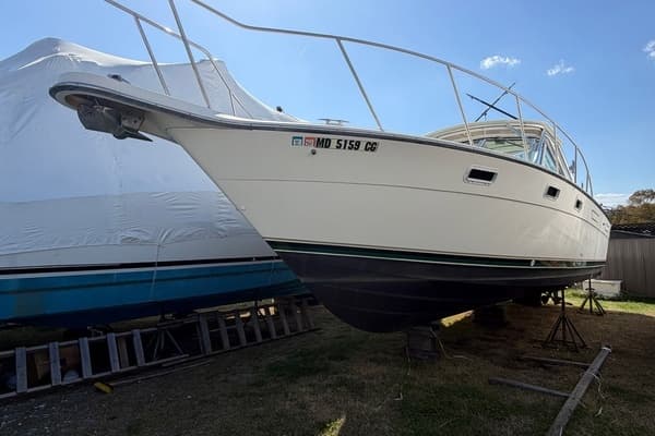 1997 Pursuit 3100 Express