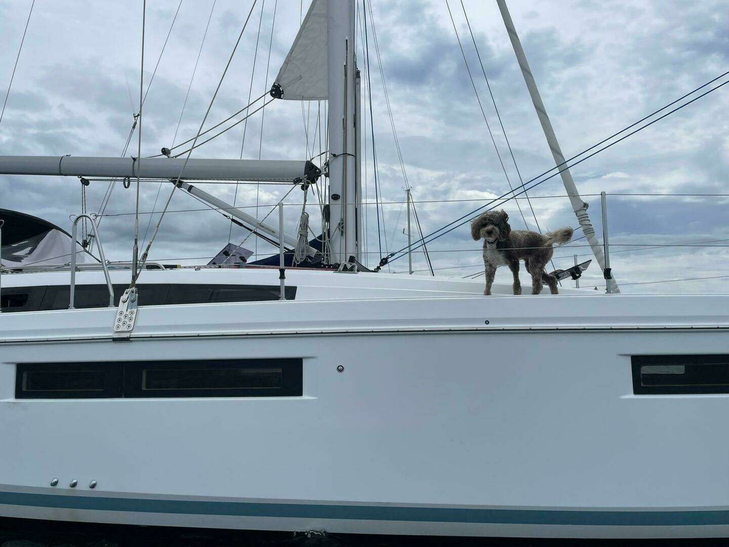 2021 Jeanneau Sun Odyssey 410 - Image 24