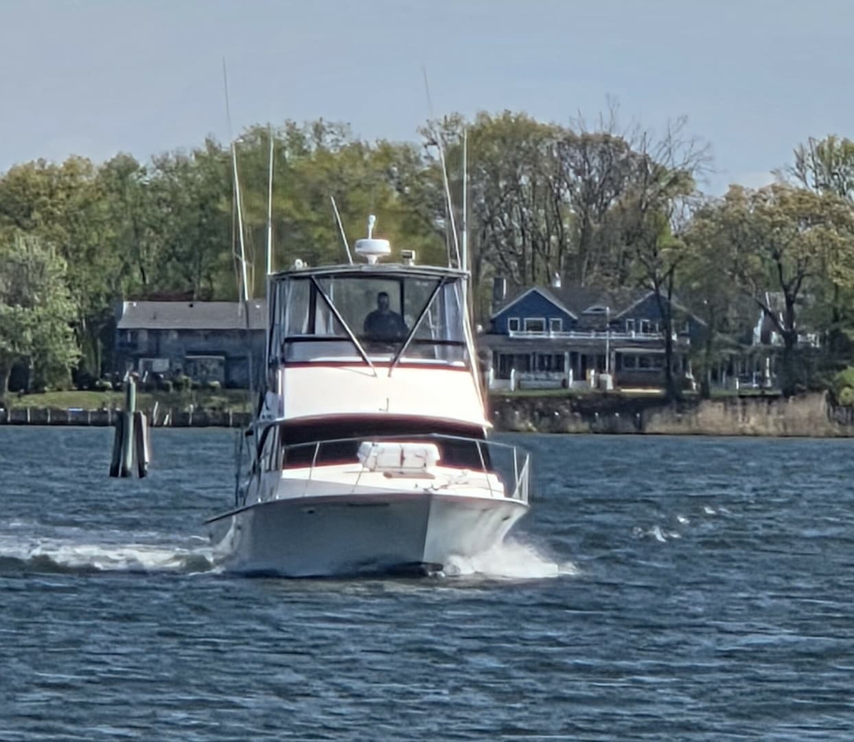 1984 Bertram 35 Convertable - Image 2