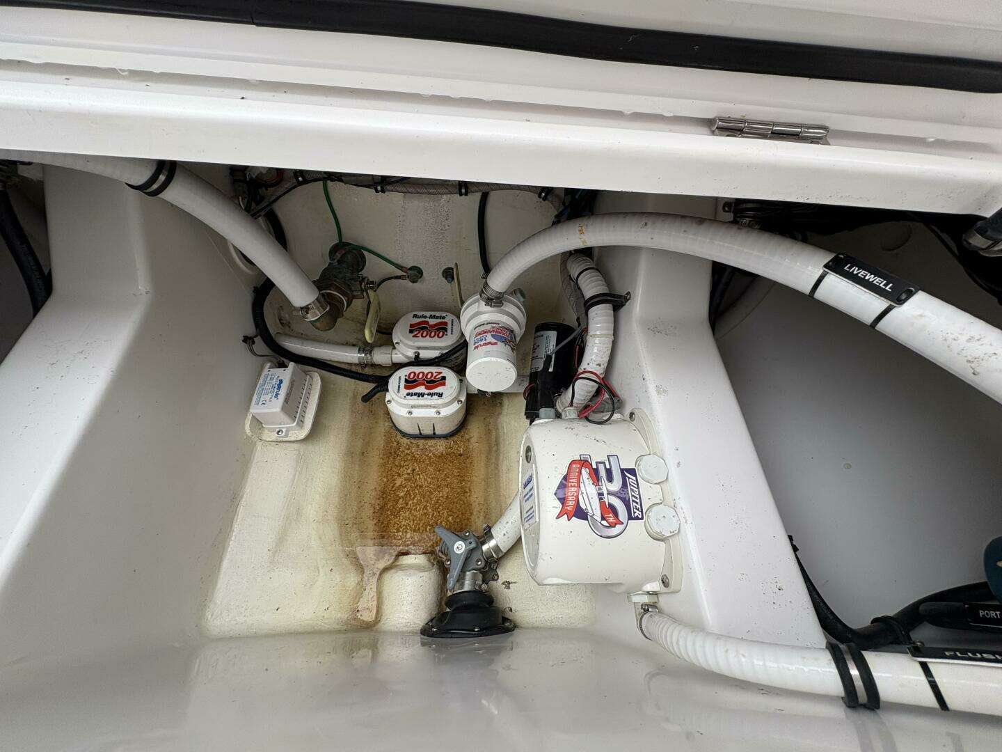 2023 Jupiter 30 - Image 5