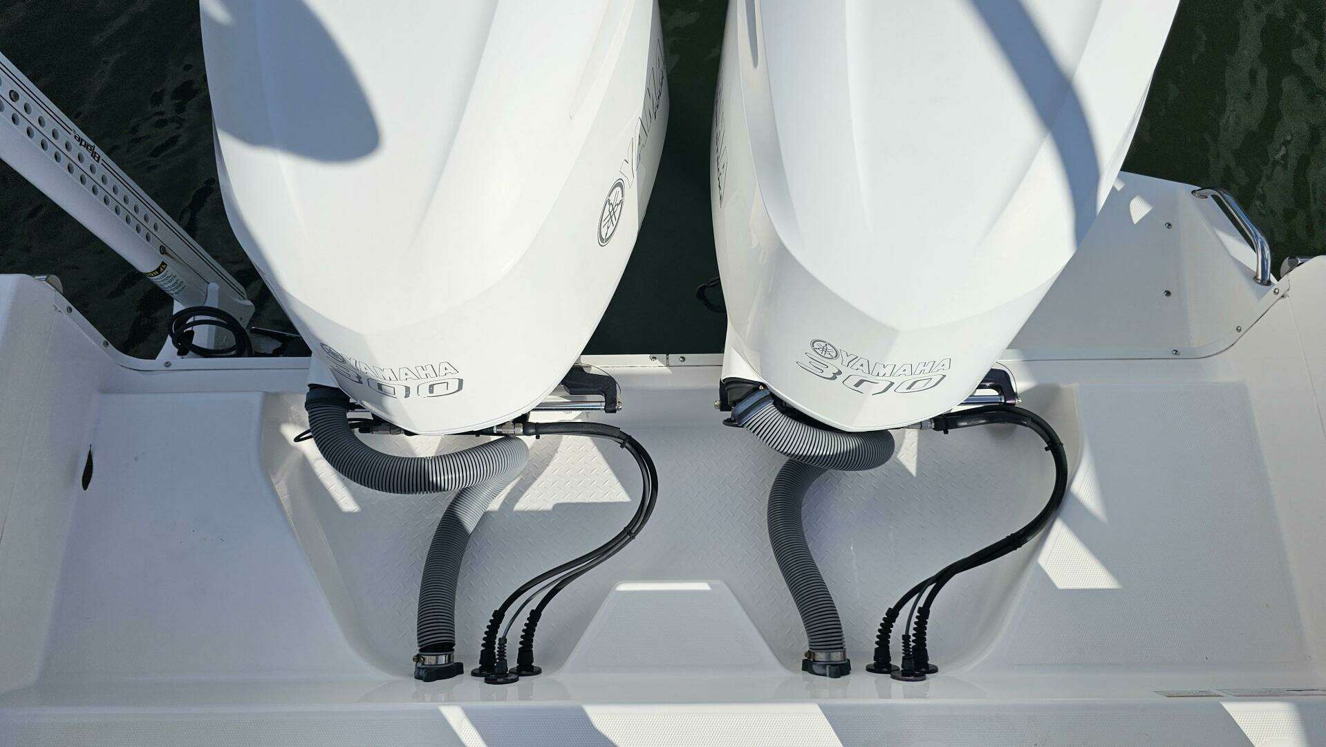 2021 Everglades 273CC - Image 31