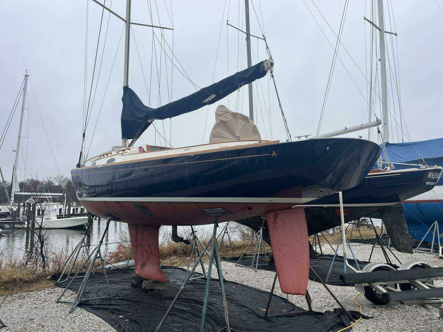 2008 Alerion — - Image 2