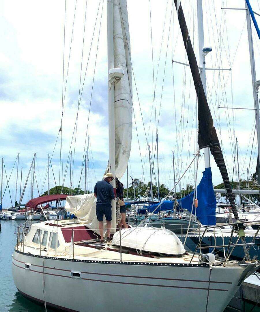 1982 US Yachts Pilothouse 416 - Image 2