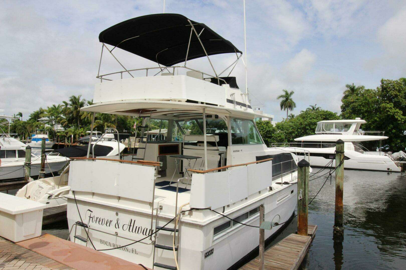 1974 Bertram 42 Motor Yacht - Image 3