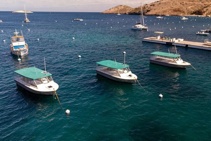 Boats anchored in a serene bay, featuring Seahawk Island Hopper models, 2018.