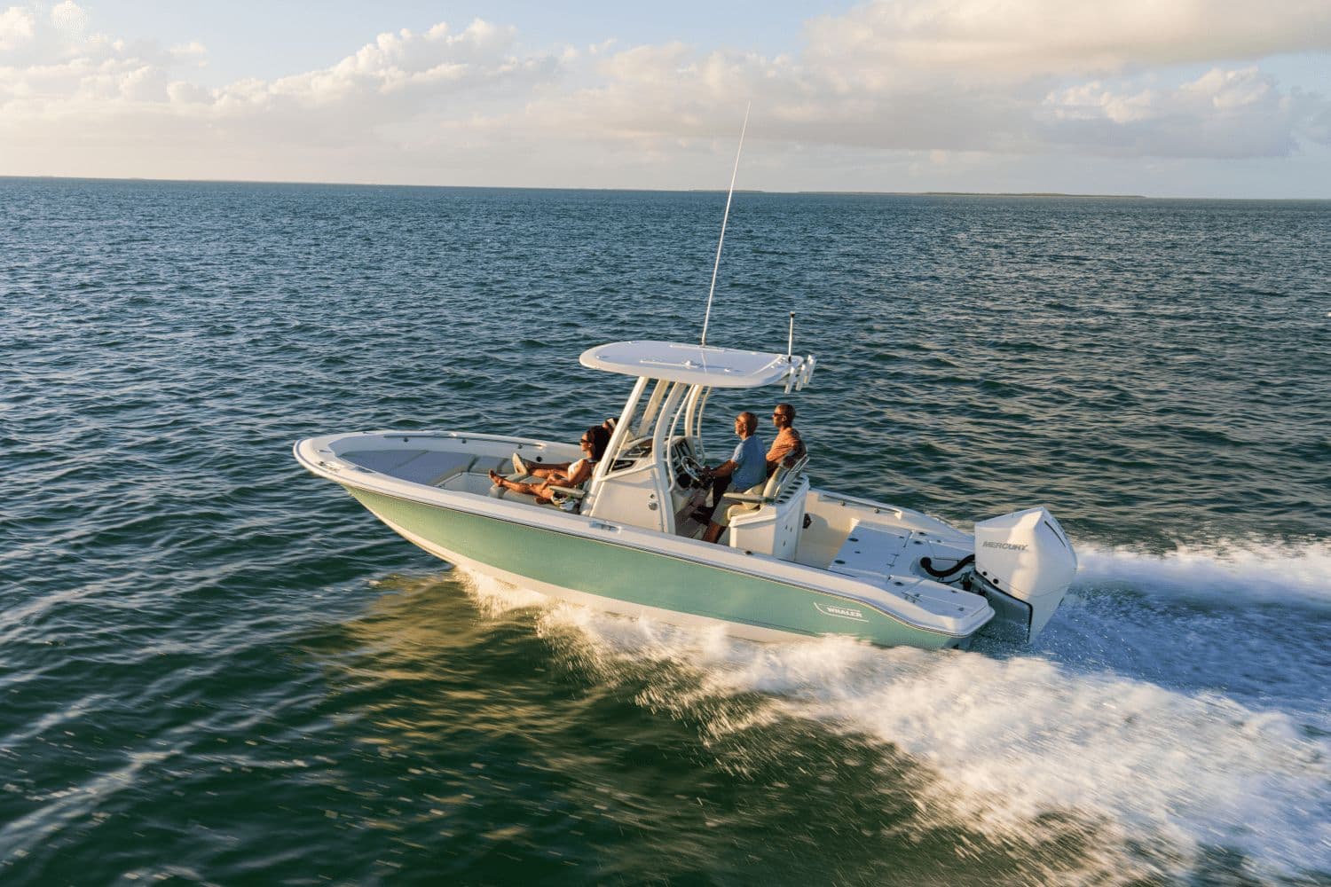 2026 Boston Whaler 250 Dauntless - 3
