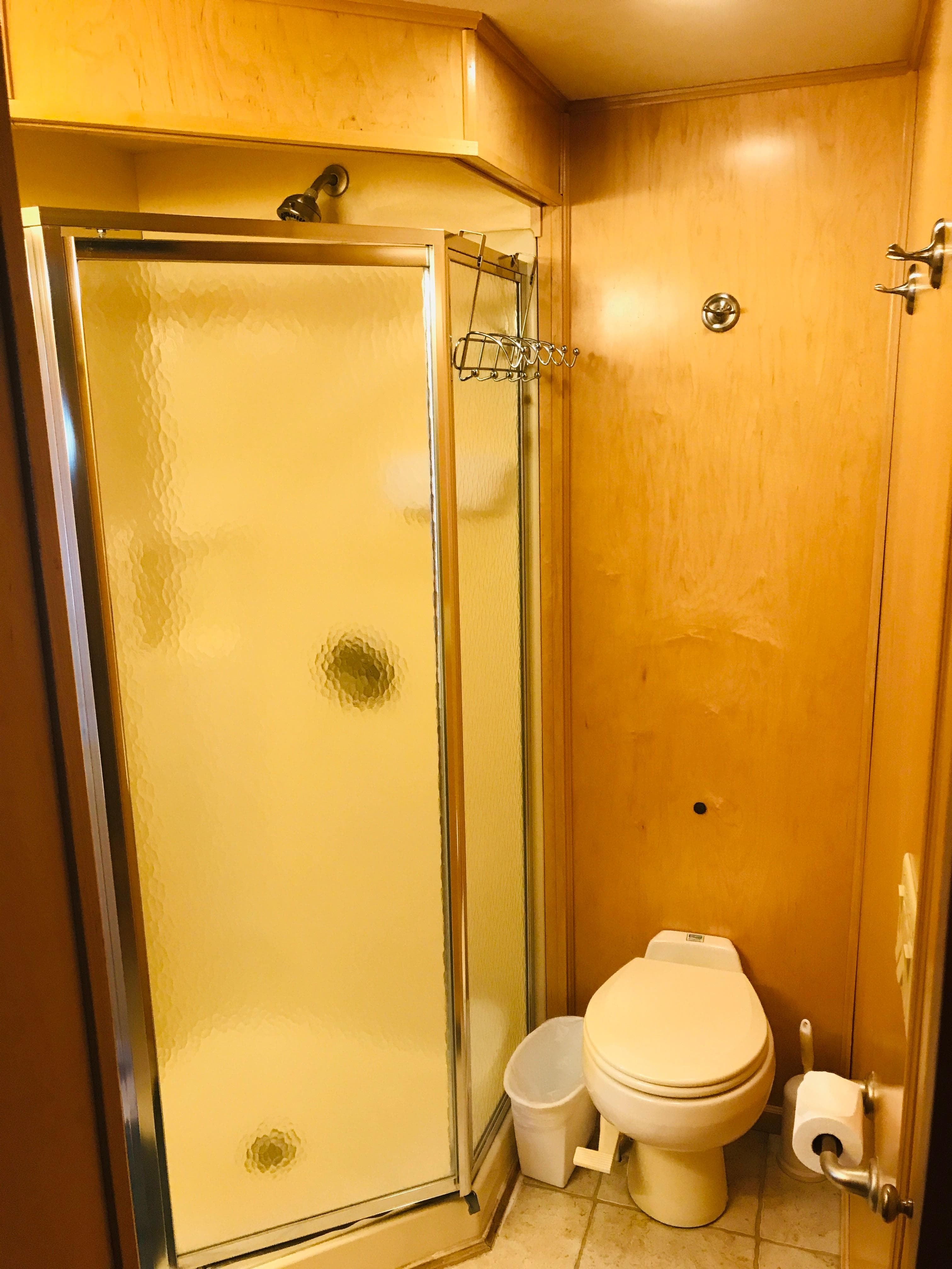 Bathroom interior of 2005 Stardust Cruisers Summer Obsession, featuring shower and toilet.