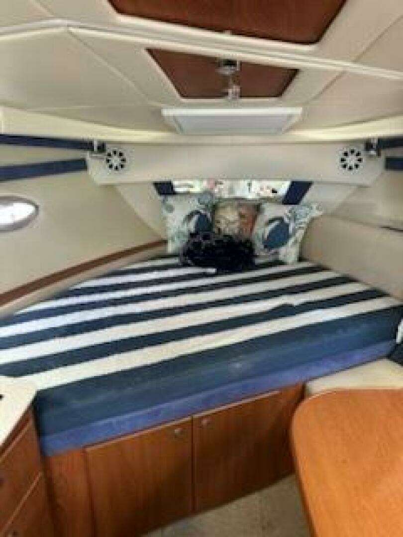 2008 Bayliner 320 - Image 6