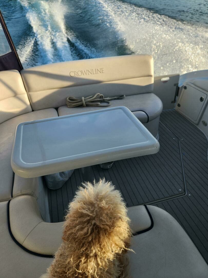 2008 Crownline 340 Cruiser - Image 8
