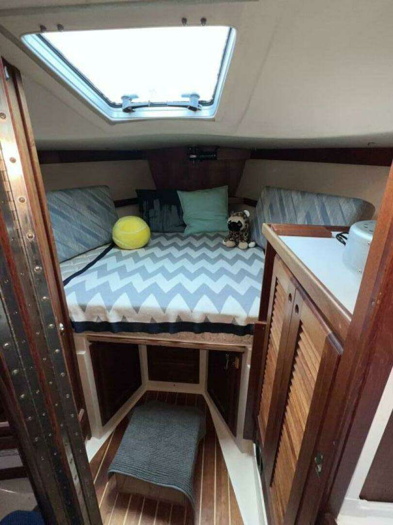 1989 Catalina — - Image 7