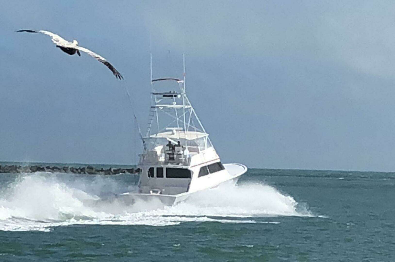 2001 Custom Carolina Lydia 57 Sportfish - Image 53