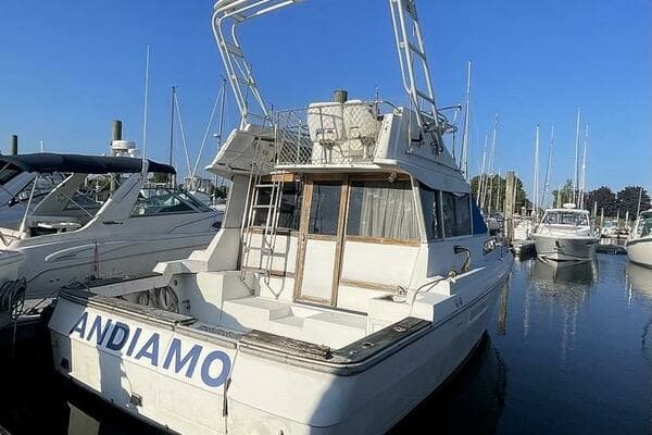 1987 Bayliner 3460