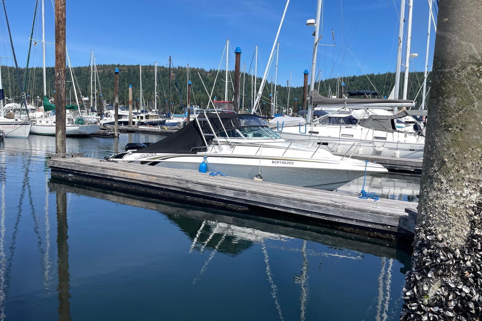 1998 Fountain 29 Sportfish Cruiser OB docked at a marina with sailboats.