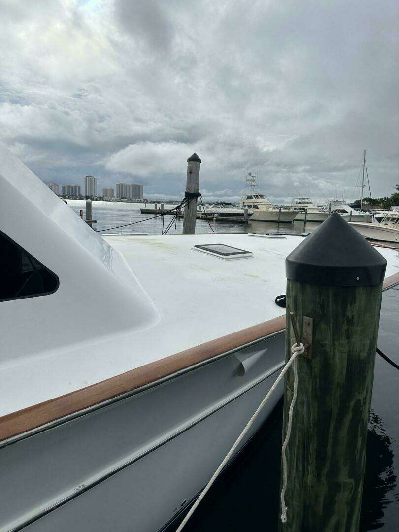 2001 Buddy Davis SPORTFISH - Image 79