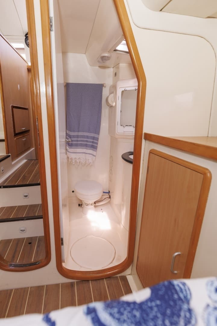 2006 Leopard 43 - Image 32