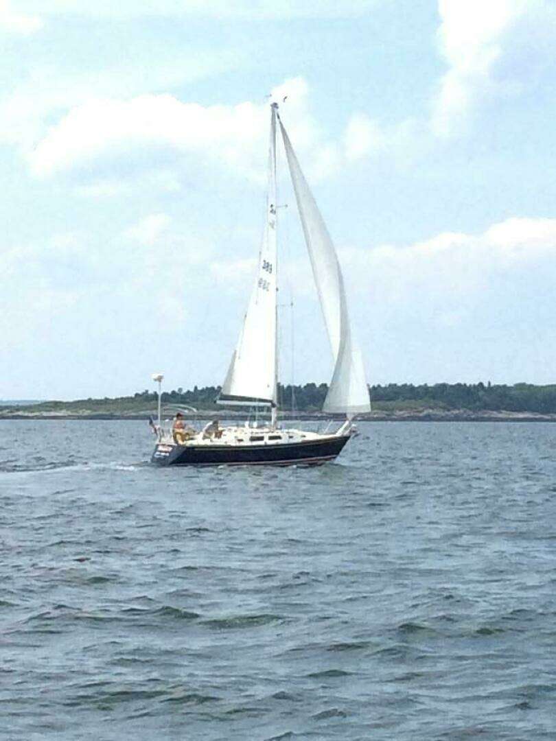 1989 Sabre Mark II Targa - Image 3