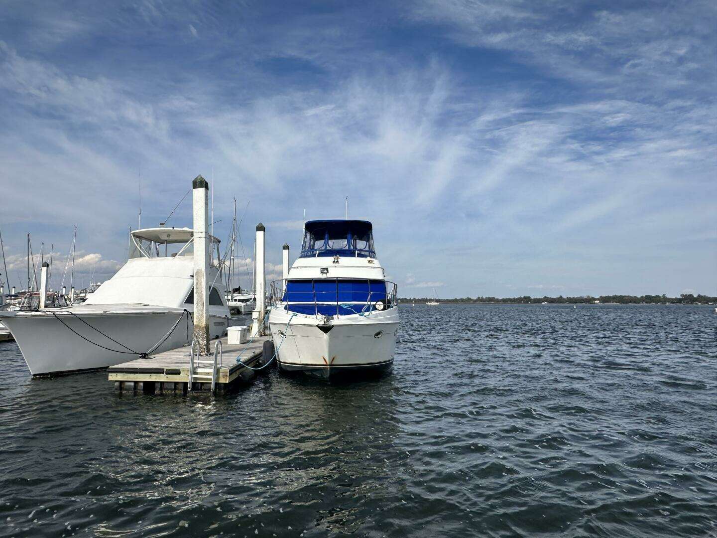 2005 Carver 36 SS - Image 6